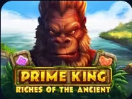 Prime King